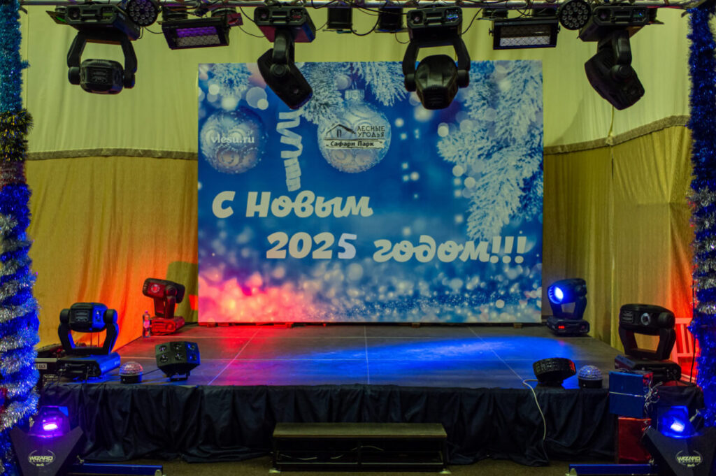 Празднование Нового года 2025 в Сафари Парке.
