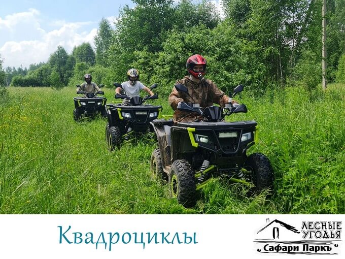 Прогулки по лесу на квадроциклах
