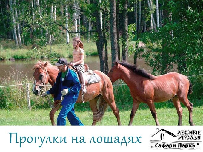 Прогулки на лошадях в Сафари Парк