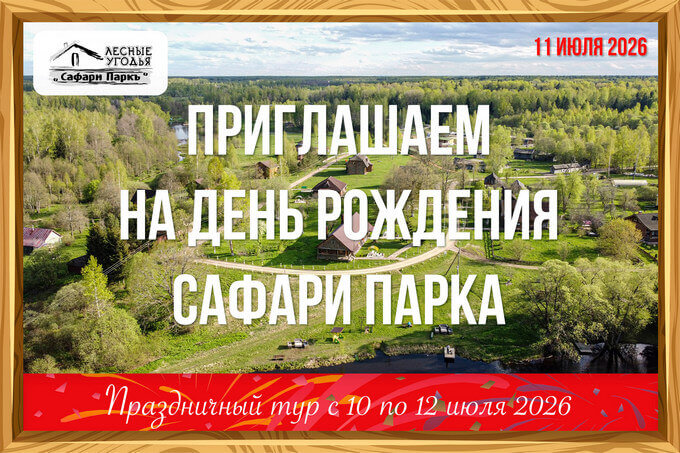 День рождения Сафари Парк