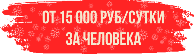 Новый год в Сафари Парк