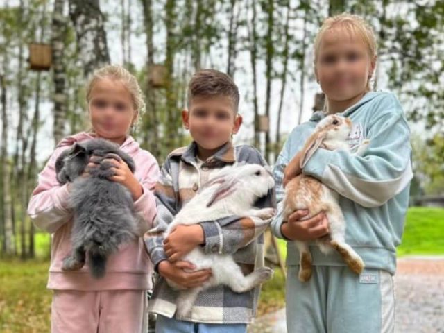 Контактный зоопарк
